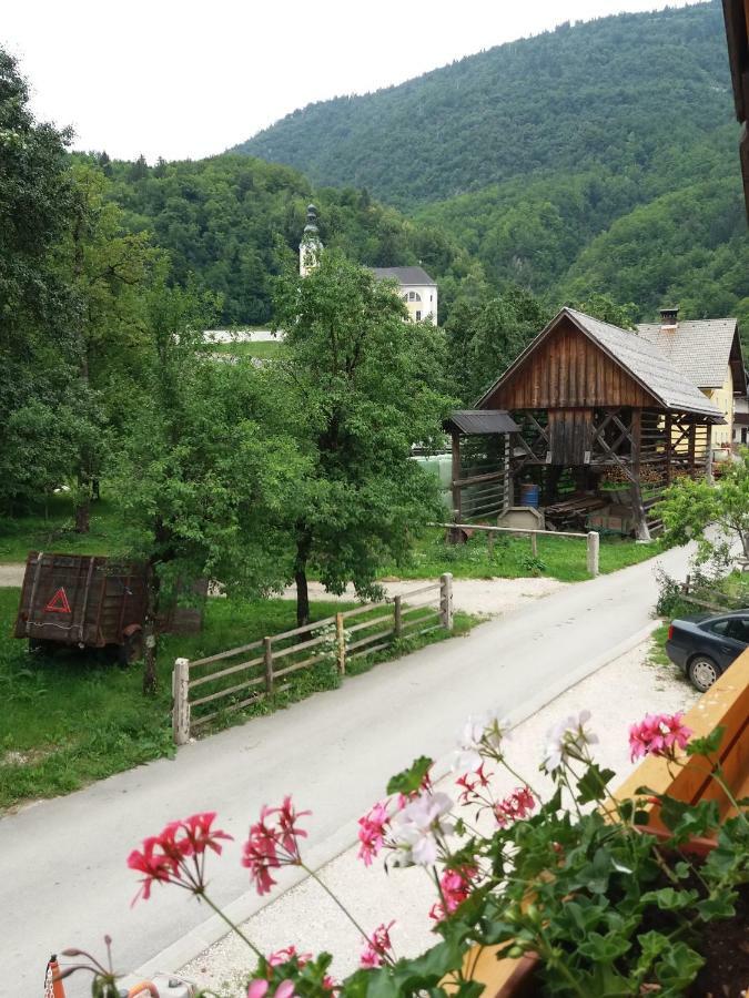 Apartma Momo * Bohinj